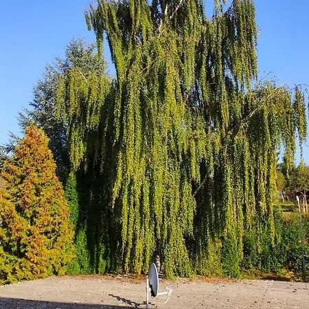 Monteur Gaestewohnung - Haus Huth Apartment